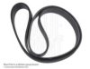 BLUE PRINT AD08R2175 V-Ribbed Belts